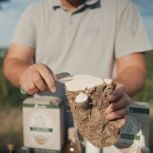 Rădăcină UNTUL PĂMÂNTULUI 1 kg